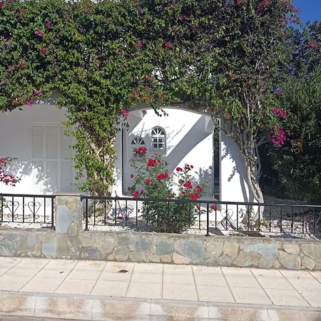 Villa Amazing Cyprus 3b Private Pool&garden By Sea