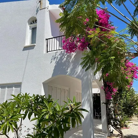 Amazing Cyprus 3b Private Pool&garden By Sea Villa