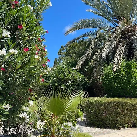 Amazing Cyprus 3b Private Pool&garden By Sea