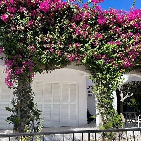 Villa Amazing Cyprus 3b Private Pool&garden By Sea Peyia