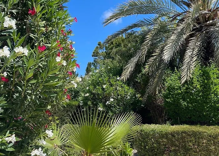 Amazing Cyprus 3b Private Pool&garden By Sea