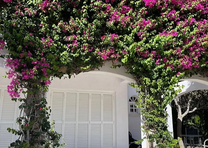 Villa Amazing Cyprus 3b Private Pool&garden By Sea Peyia